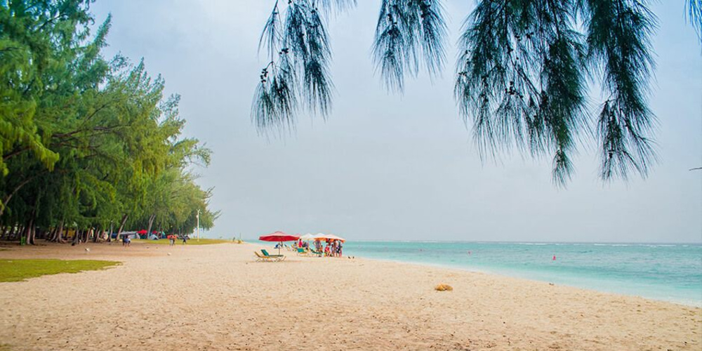 blog : Air Mauritius
